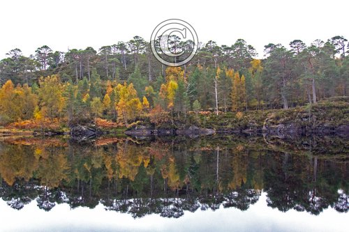 Glen Affric Scotland  DM2120